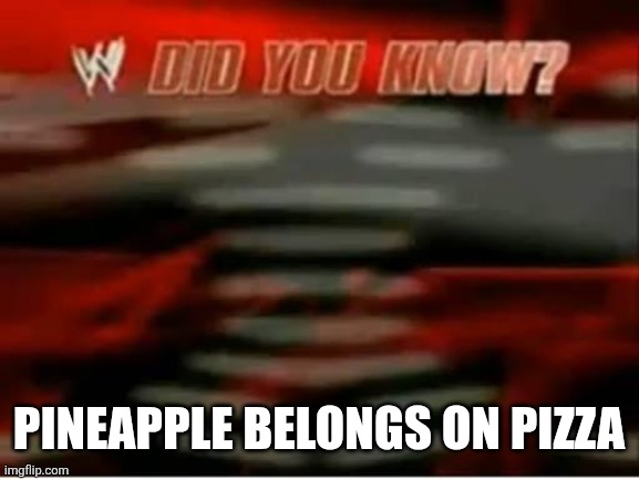wwe did you know | Pineapple belongs on pizza | image tagged in wwe did you know | made w/ Imgflip meme maker