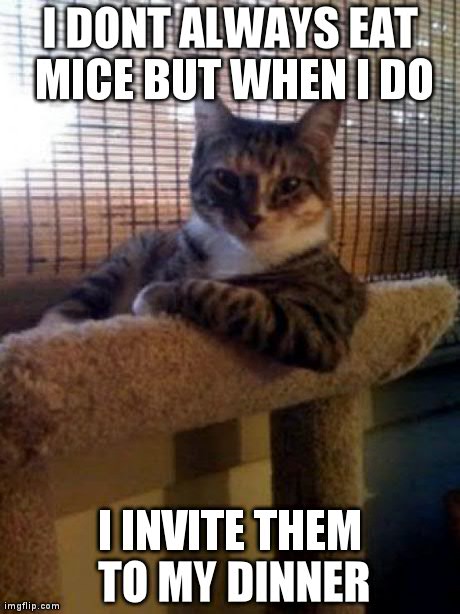 The Most Interesting Cat In The World | I DONT ALWAYS EAT MICE BUT WHEN I DO I INVITE THEM TO MY DINNER | image tagged in memes,the most interesting cat in the world | made w/ Imgflip meme maker