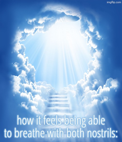 e | how it feels being able to breathe with both nostrils: | image tagged in heaven,peace,finally inner peace,relatable,relatable memes | made w/ Imgflip meme maker