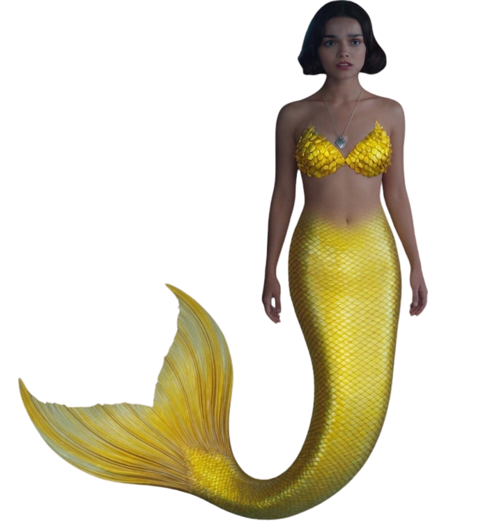 Mermaid Snow White Blank Meme Template
