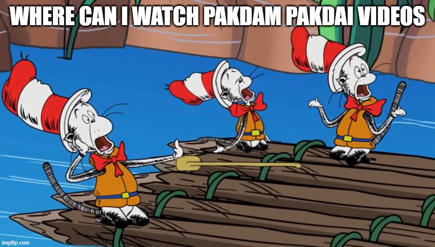 Triple cats screaming | Where can i watch Pakdam Pakdai videos | image tagged in triple cats screaming | made w/ Imgflip meme maker