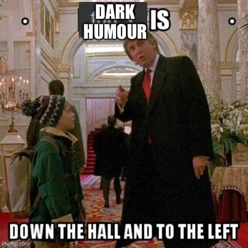 Dark humour | image tagged in fun stream is down the hall to the left | made w/ Imgflip meme maker