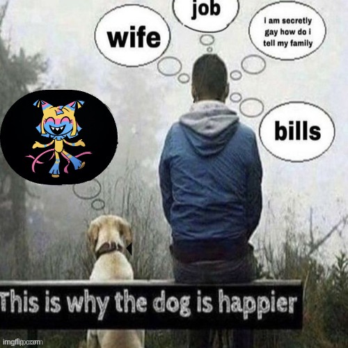 This is why the dog is happier | image tagged in this is why the dog is happier | made w/ Imgflip meme maker