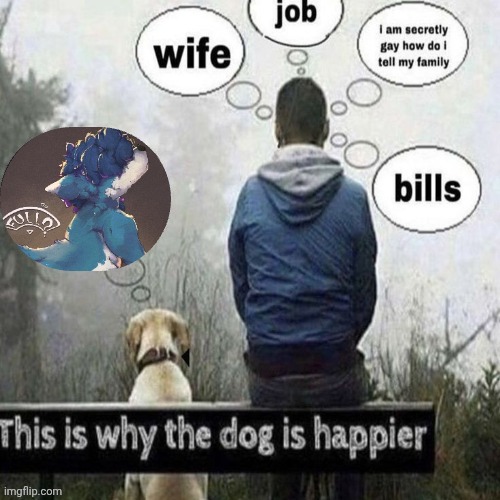 This is why the dog is happier | image tagged in this is why the dog is happier,ageor6,blopfry | made w/ Imgflip meme maker