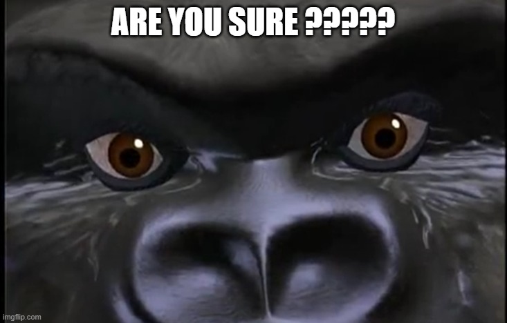 Are You Sure | ARE YOU SURE ????? | image tagged in are you sure | made w/ Imgflip meme maker