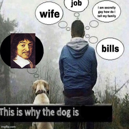 dog thought therefore he is | image tagged in this is why the dog is happier,msmg,history,i think therefore i am,rene descartes | made w/ Imgflip meme maker