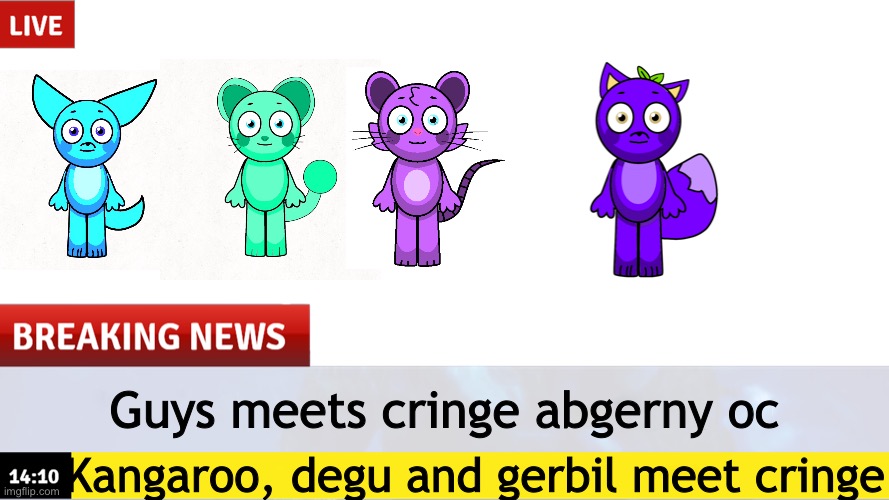 Guys meets lil bro | Guys meets cringe abgerny oc; Kangaroo, degu and gerbil meet cringe | image tagged in breaking news template,kangaroo,oc | made w/ Imgflip meme maker