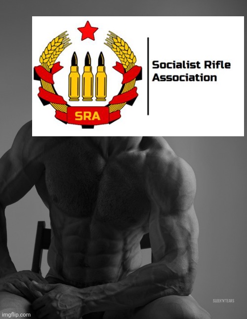 Giga Chad | image tagged in giga chad | made w/ Imgflip meme maker