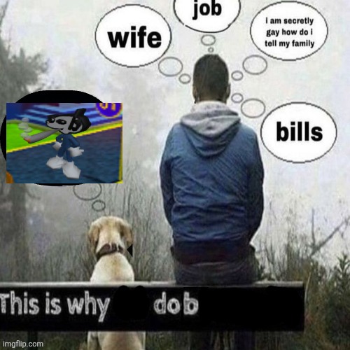 This is why the dog is happier | image tagged in this is why the dog is happier | made w/ Imgflip meme maker