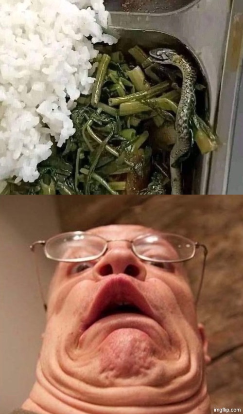 Now that'd be a terrible sight at a buffet | image tagged in cursed images,snakes,oh hell no,nasty food,drink bleach,buffet | made w/ Imgflip meme maker