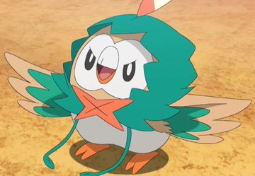 Rowlet Blank Meme Template
