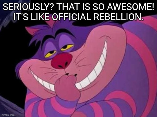 Seriously? That is so awesome! It's like official rebellion. | image tagged in clever | made w/ Imgflip meme maker