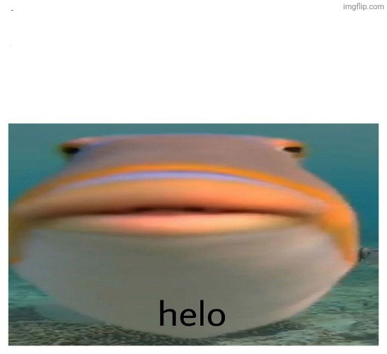 helo fish | image tagged in helo fish | made w/ Imgflip meme maker