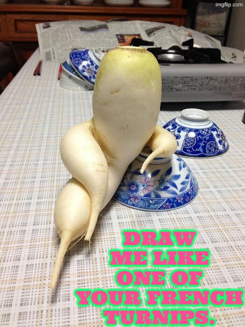 Draw Me Like One... | Draw me like one of your French turnips. | image tagged in draw me like one of your french girls,vegetables,funny memes,dafuq did i just read,what did i just see,cursed image | made w/ Imgflip meme maker
