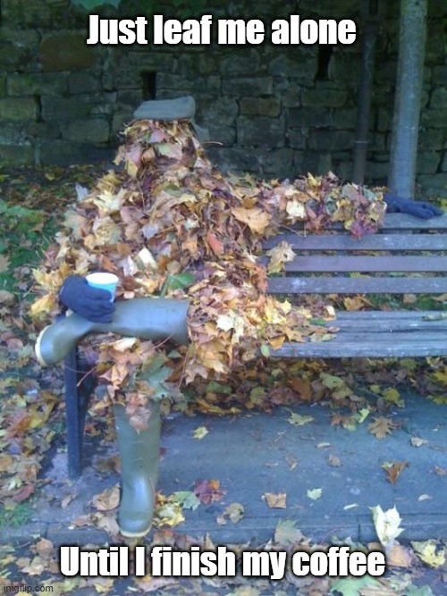 Leaf Me Alone | Just leaf me alone; Until I finish my coffee | image tagged in coffee,morning,quiet,leaf | made w/ Imgflip meme maker