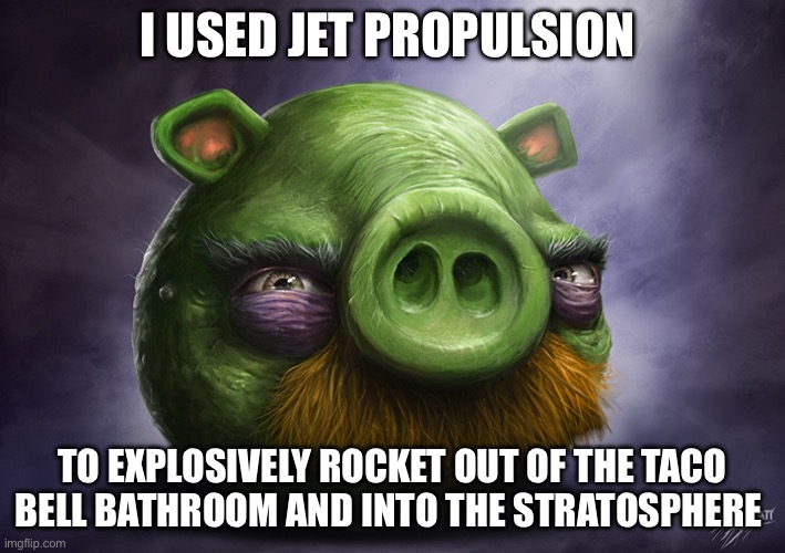 taco bell | I USED JET PROPULSION; TO EXPLOSIVELY ROCKET OUT OF THE TACO BELL BATHROOM AND INTO THE STRATOSPHERE | image tagged in realistic angry birds | made w/ Imgflip meme maker