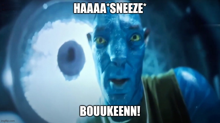 cringey attempt #? (lost count) | Haaaa*sneeze*; Bouukeenn! | image tagged in staring avatar guy | made w/ Imgflip meme maker
