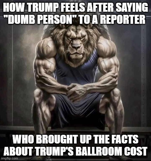 TTM (Truth Triggers Maga) | How trump feels after saying "dumb person" to a reporter; who brought up the facts about trump's ballroom cost | image tagged in how bro felt after saying that | made w/ Imgflip meme maker