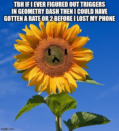 getting one at the end of the school year so ye | tbh if I ever figured out triggers in geometry dash then I could have gotten a rate or 2 before I lost my phone | made w/ Imgflip meme maker