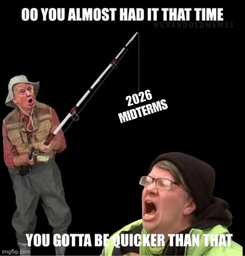 Midterm Elections | image tagged in midterm elections | made w/ Imgflip meme maker