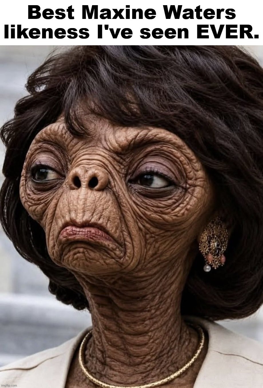 Best Maxine Waters likeness I've seen EVER. | image tagged in maxine waters,mad max,gasoline maxine,et phone home,extraterrestrial,fugly | made w/ Imgflip meme maker