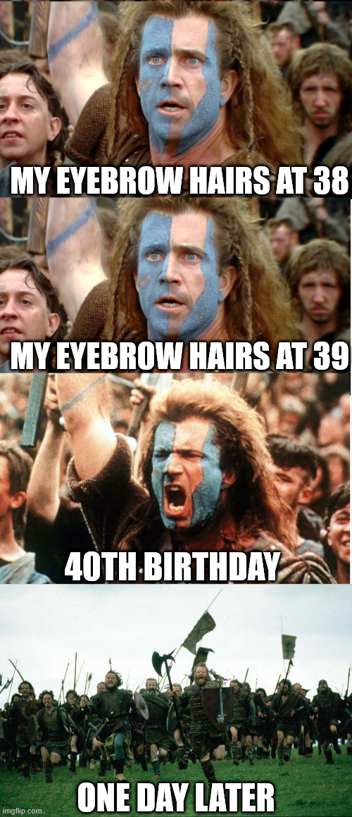 Aging problems | my eyebrow hairs at 38; my eyebrow hairs at 39; 40th birthday; one day later | image tagged in braveheart hold now,knights charge | made w/ Imgflip meme maker