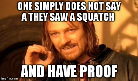 One Does Not Simply Meme | ONE SIMPLY DOES NOT SAY A THEY SAW A SQUATCH 
 AND HAVE PROOF | image tagged in memes,one does not simply | made w/ Imgflip meme maker