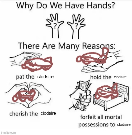 Why do we have hands? (all blank) | clodsire; clodsire; clodsire; clodsire | image tagged in why do we have hands all blank | made w/ Imgflip meme maker