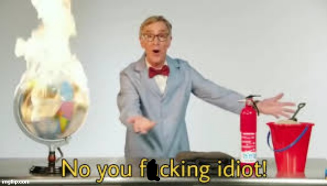 No you fucking idiot | image tagged in no you fucking idiot | made w/ Imgflip meme maker