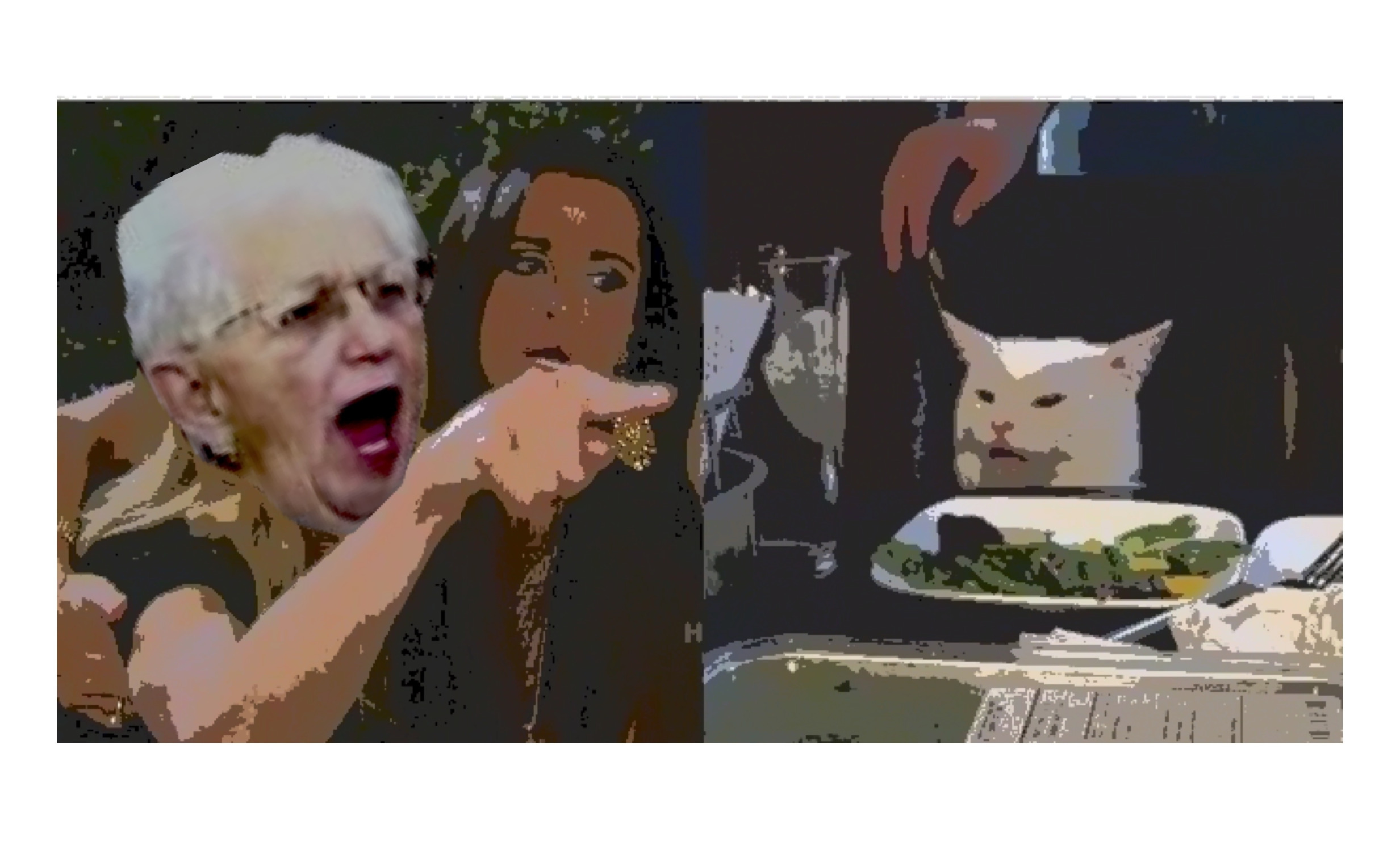 Virginia Foxx Yells At Cat Blank Meme Template