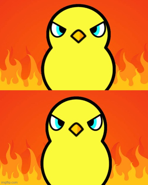 Why tf did I think this was funni :SkullEmoji: | image tagged in duck life duck hates | made w/ Imgflip meme maker