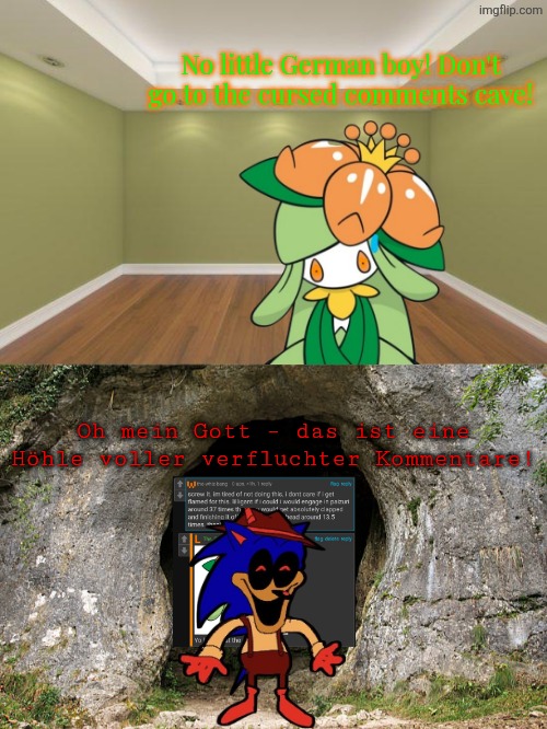 No Little German Boy! Don't go to the cursed comments cave! | No little German boy! Don't go to the cursed comments cave! Oh mein Gott – das ist eine Höhle voller verfluchter Kommentare! | image tagged in empty room,german,cursed,comments,pokemon,sonic exe | made w/ Imgflip meme maker