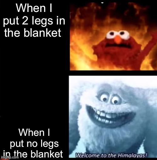 And then 1 leg in the blanket will get you taken by the monsters | When I put 2 legs in the blanket; When I put no legs in the blanket | image tagged in hot and cold,memes,fun | made w/ Imgflip meme maker