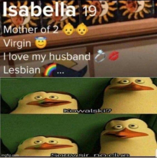 Kowalski? | image tagged in img_2633 jpeg | made w/ Imgflip meme maker