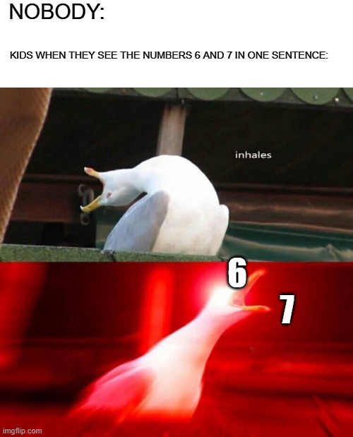 67 | nobody:; kids when they see the numbers 6 and 7 in one sentence:; 6                 7 | image tagged in inhaling seagull | made w/ Imgflip meme maker