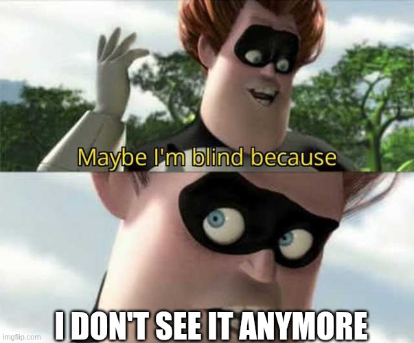 maybe I am blind becuse I don't see it anymore | I don't see it anymore | image tagged in maybe i'm blind because | made w/ Imgflip meme maker