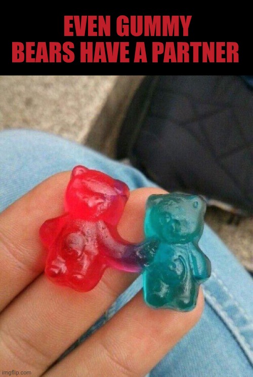 Gummy bears | Even gummy bears have a partner | image tagged in gummy bears | made w/ Imgflip meme maker