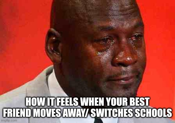 I'm Gonna Miss Him/Her | how it feels when your best friend moves away/ switches schools | image tagged in crying michael jordan,school | made w/ Imgflip meme maker
