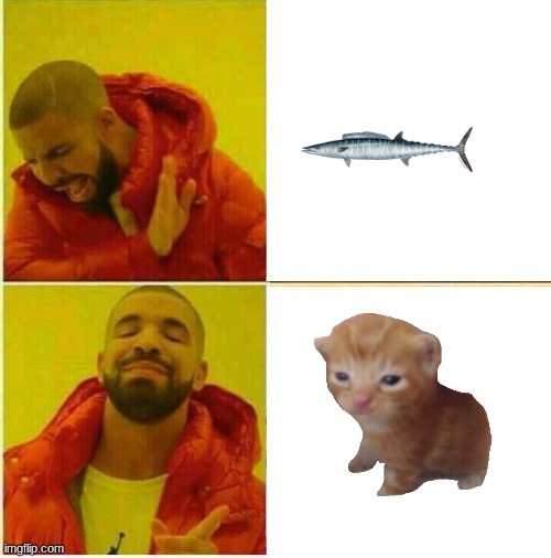 yes | image tagged in drake hotline approves,herbert | made w/ Imgflip meme maker