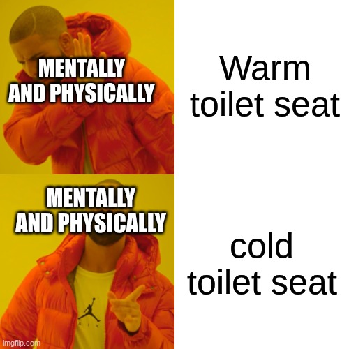 Agree? | Warm toilet seat; Mentally and physically; Mentally and physically; cold toilet seat | image tagged in memes,drake hotline bling,funny,toilet | made w/ Imgflip meme maker