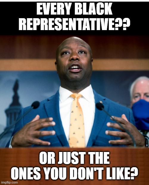 senator tim scott stretched if i was president | every black representative?? or just the ones you don't like? | image tagged in senator tim scott stretched if i was president | made w/ Imgflip meme maker
