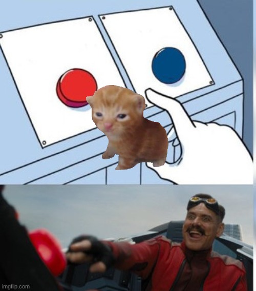 Two Buttons Eggman | image tagged in two buttons eggman | made w/ Imgflip meme maker