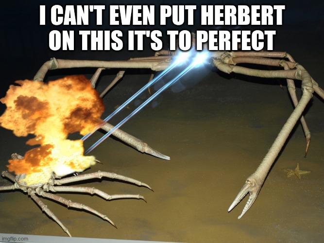 I can't even put herbert | I can't even put herbert on this it's to perfect | image tagged in laser crab | made w/ Imgflip meme maker