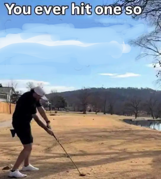 Ever hit one Blank Meme Template