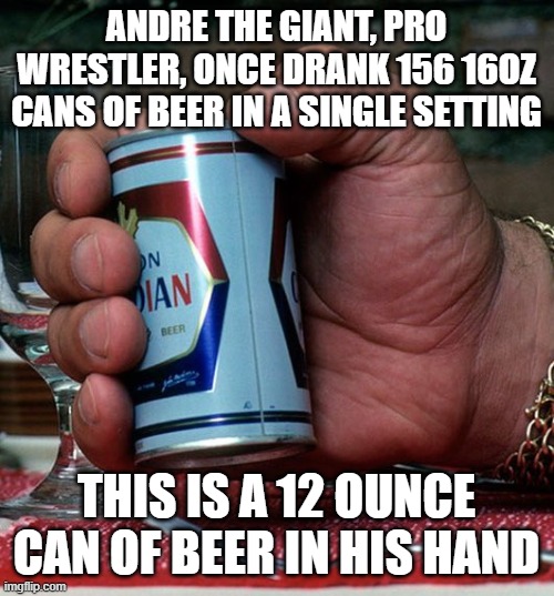 Andre the drinker | andre the giant, pro wrestler, once drank 156 16oz cans of beer in a single setting; this is a 12 ounce can of beer in his hand | image tagged in wrestling,alcohol | made w/ Imgflip meme maker