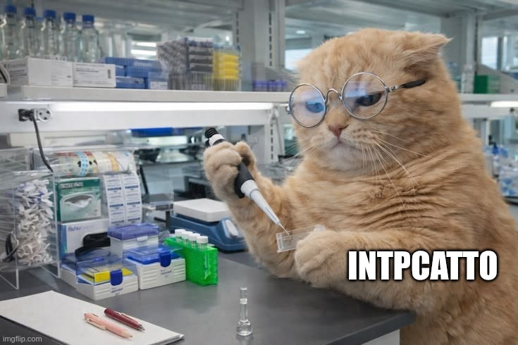 INTPCatto | INTPCatto | image tagged in mbti,myers briggs,cat,personality,intp,memes | made w/ Imgflip meme maker