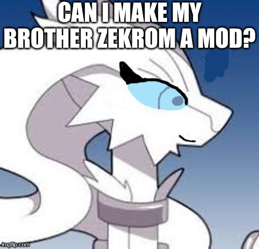 hello brother | can I make my brother Zekrom a mod? | image tagged in verita the reshiram happy | made w/ Imgflip meme maker