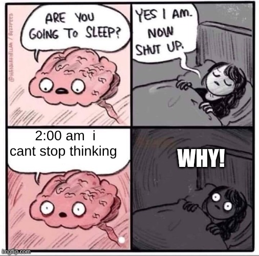 insomnia brain can't sleep blank | 2:00 am  i cant stop thinking; why! | image tagged in insomnia brain can't sleep blank | made w/ Imgflip meme maker