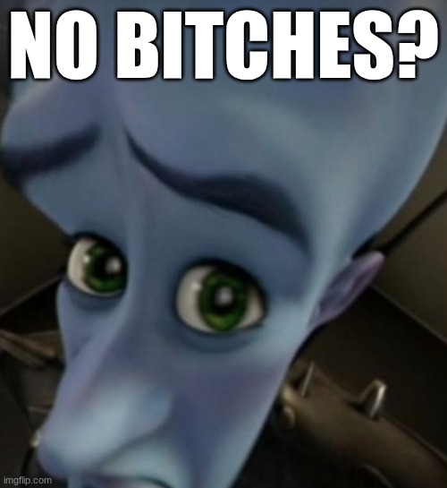 Megamind no bitches | no bitches? | image tagged in megamind no bitches | made w/ Imgflip meme maker