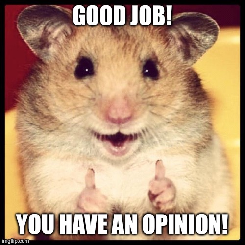 good job guys | Good job! You have an opinion! | image tagged in good job guys | made w/ Imgflip meme maker